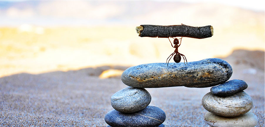 主題文化(圖1) 主題文化(圖1)