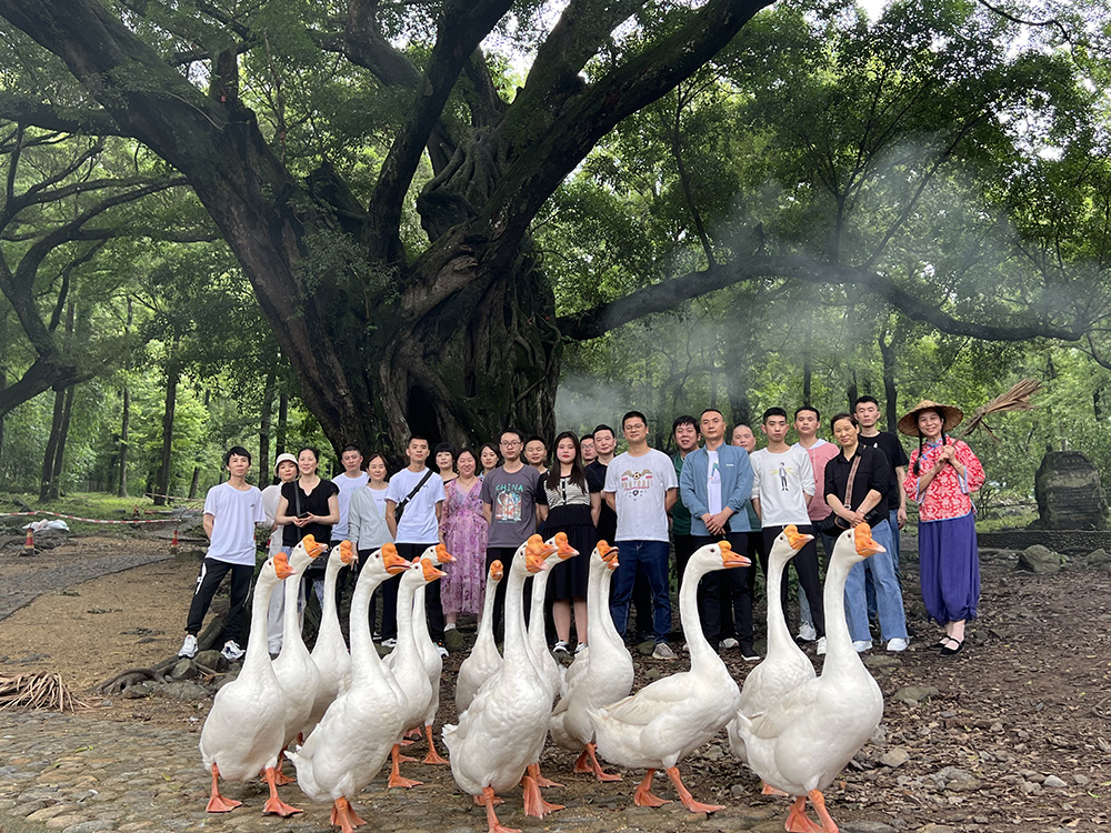 2023年職工療休養活動(dòng)之二 | 福建霞浦三日游(圖3)