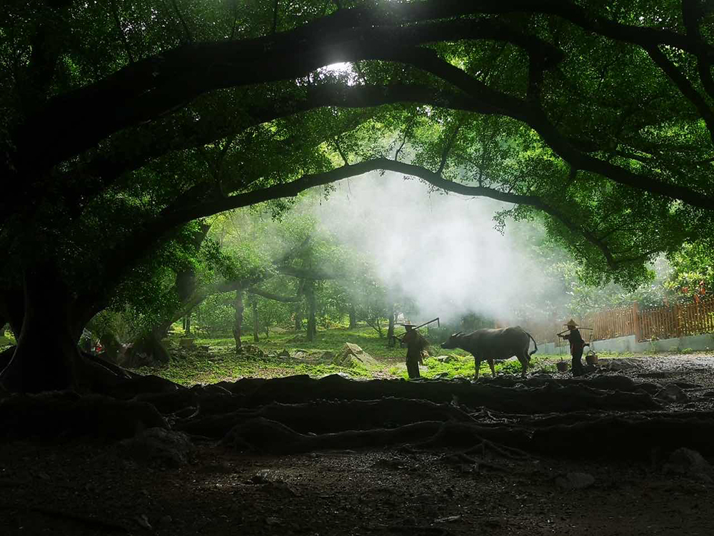 2024年職工療休養活動(dòng)之四 | 福建霞浦三日游(圖4) 2024年職工療休養活動(dòng)之四 | 福建霞浦三日游(圖4)